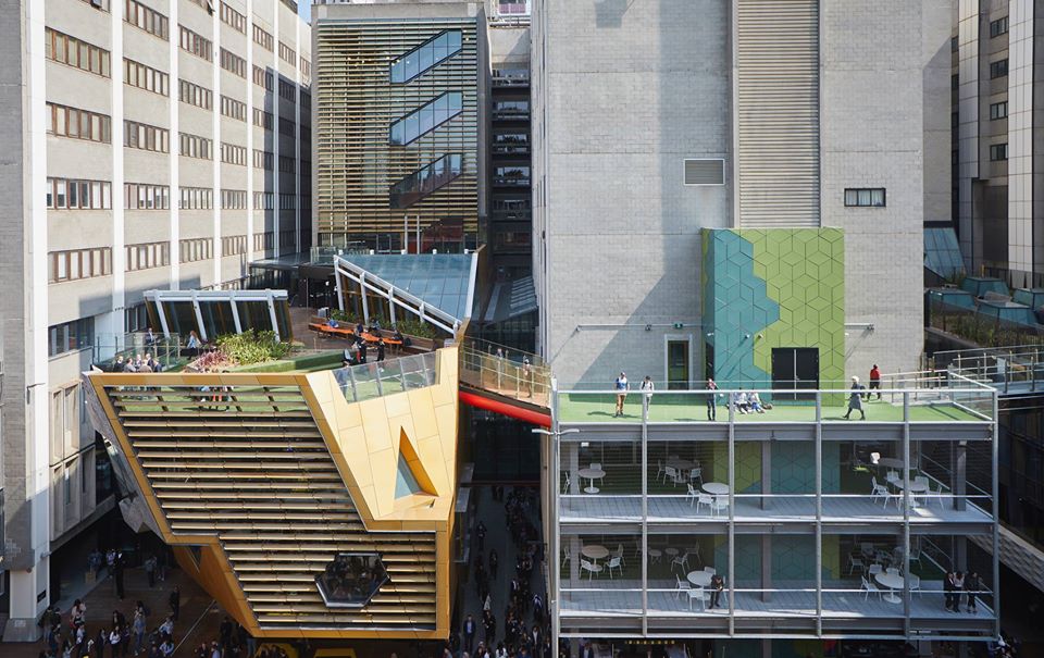 RMIT University Banner